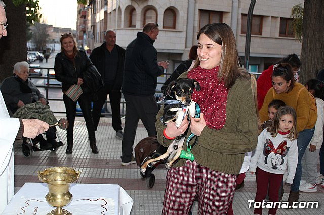 Bendicin de animales San Antn Totana 2020 - 205