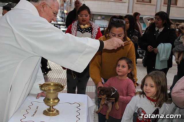 Bendicin de animales San Antn Totana 2020 - 207