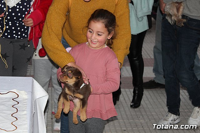 Bendicin de animales San Antn Totana 2020 - 208