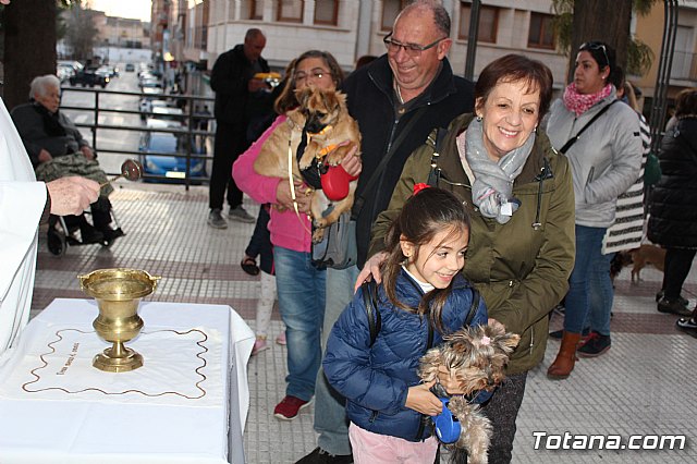 Bendicin de animales San Antn Totana 2020 - 212