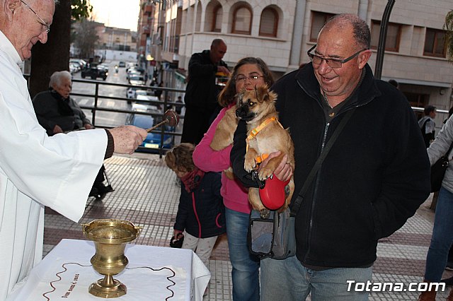 Bendicin de animales San Antn Totana 2020 - 213