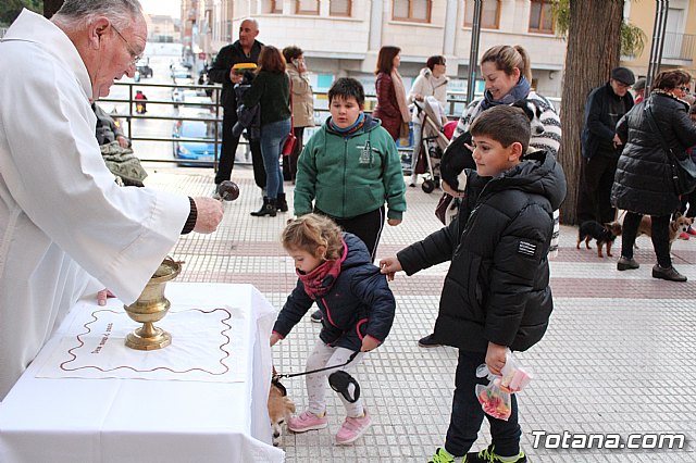 Bendicin de animales San Antn Totana 2020 - 215