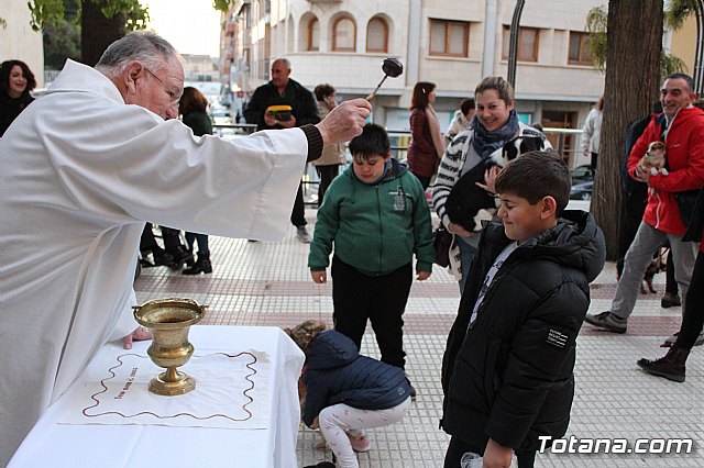 Bendicin de animales San Antn Totana 2020 - 216