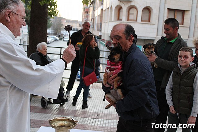 Bendicin de animales San Antn Totana 2020 - 222
