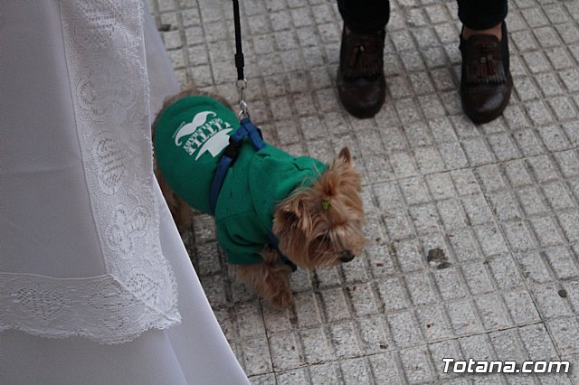 Bendicin de animales San Antn Totana 2020 - 225