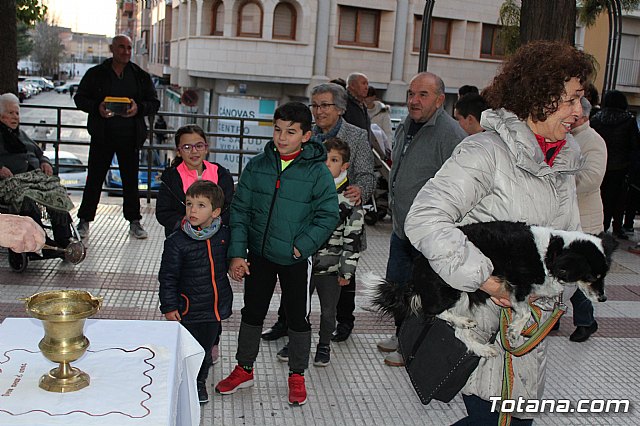 Bendicin de animales San Antn Totana 2020 - 227