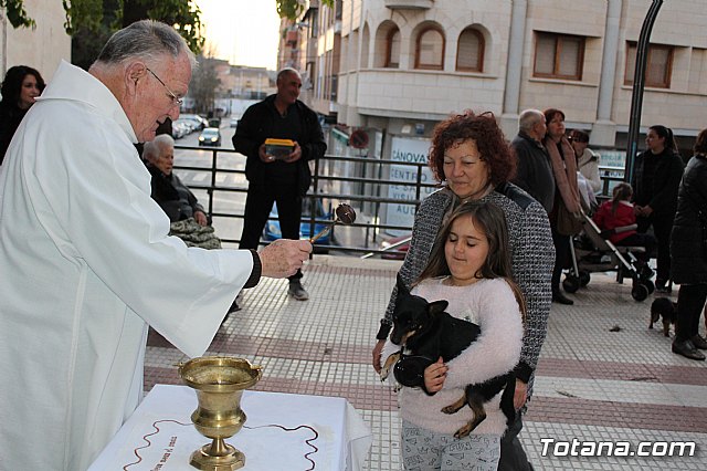 Bendicin de animales San Antn Totana 2020 - 231