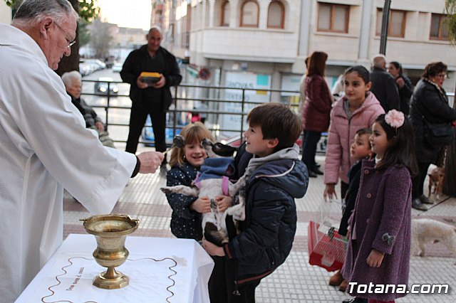 Bendicin de animales San Antn Totana 2020 - 232
