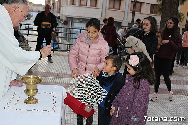 Bendicin de animales San Antn Totana 2020 - 233