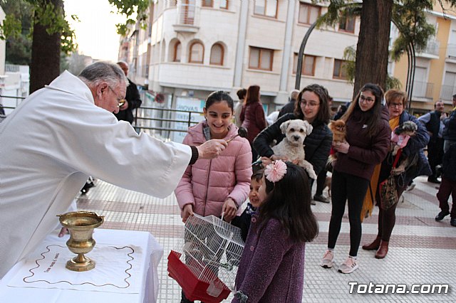 Bendicin de animales San Antn Totana 2020 - 234