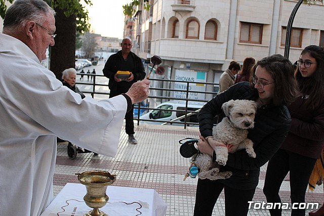 Bendicin de animales San Antn Totana 2020 - 235