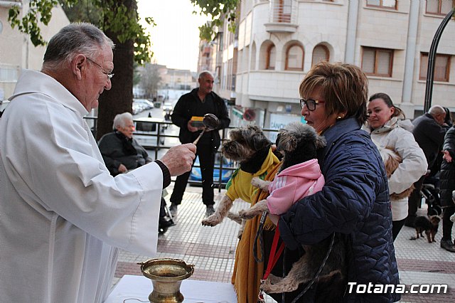 Bendicin de animales San Antn Totana 2020 - 237