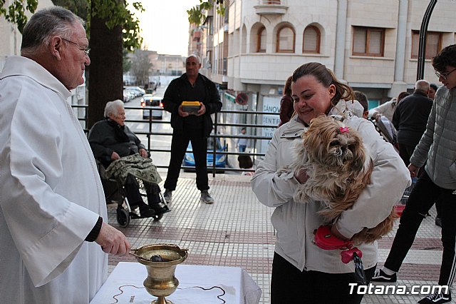 Bendicin de animales San Antn Totana 2020 - 238