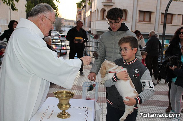 Bendicin de animales San Antn Totana 2020 - 239