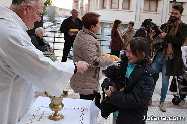 Bendicin de animales San Antn Totana 2020 - 240