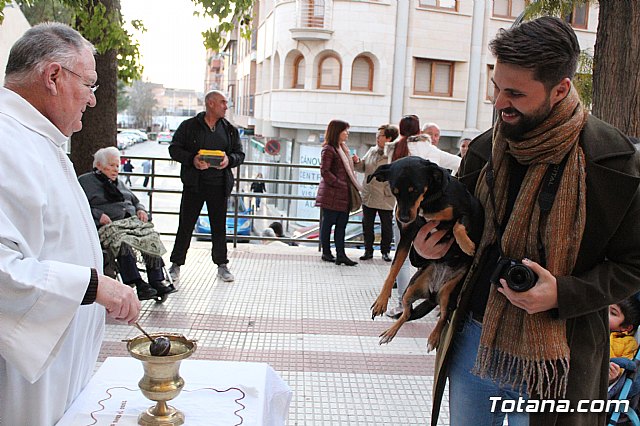 Bendicin de animales San Antn Totana 2020 - 241