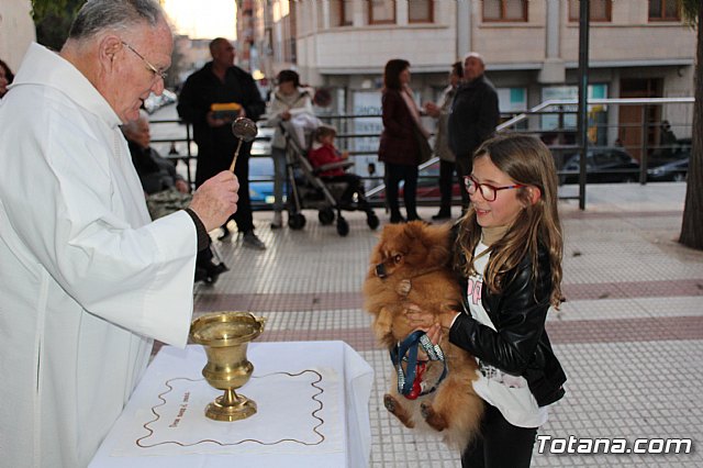 Bendicin de animales San Antn Totana 2020 - 243