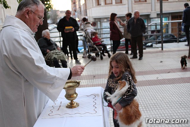 Bendicin de animales San Antn Totana 2020 - 244