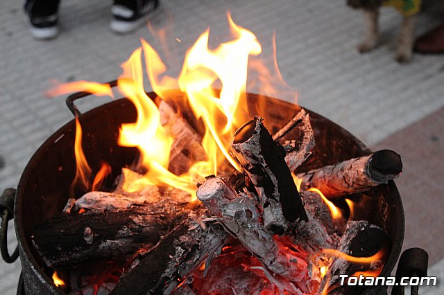 Bendicin de animales San Antn Totana 2020 - 245