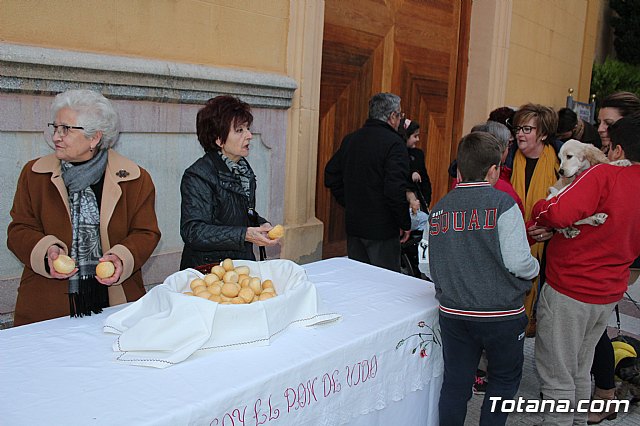 Bendicin de animales San Antn Totana 2020 - 246