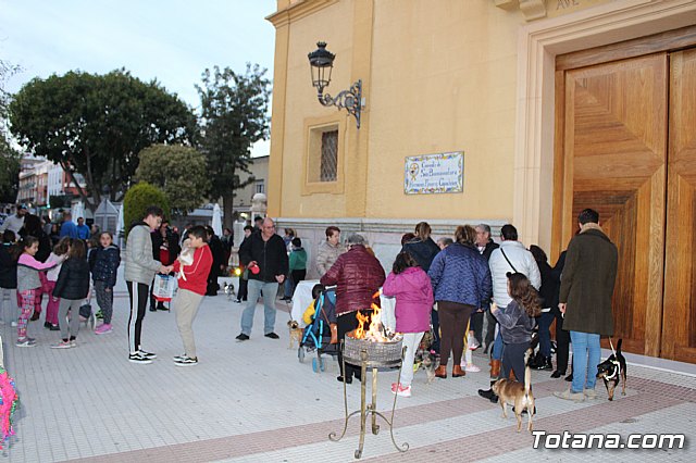 Bendicin de animales San Antn Totana 2020 - 247