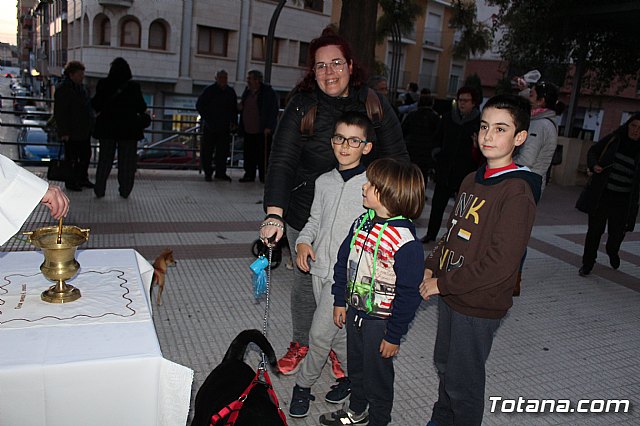 Bendicin de animales San Antn Totana 2020 - 250