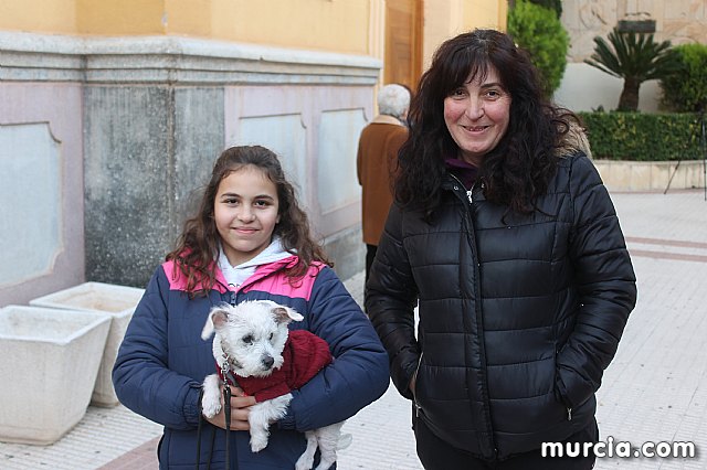 Bendicin de animales San Antn Totana 2020 - 253