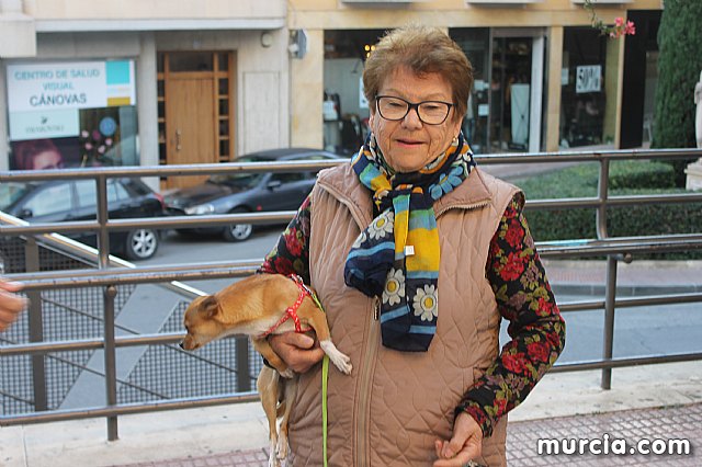 Bendicin de animales San Antn Totana 2020 - 256