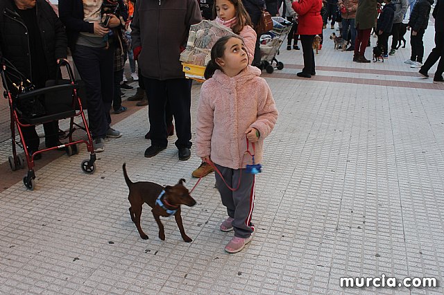 Bendicin de animales San Antn Totana 2020 - 258