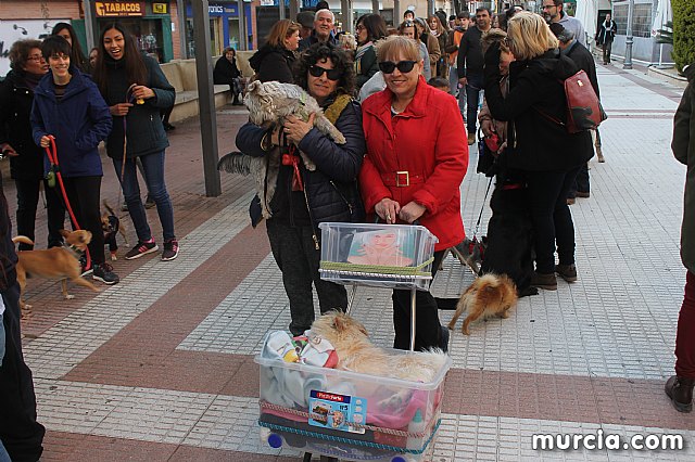 Bendicin de animales San Antn Totana 2020 - 260