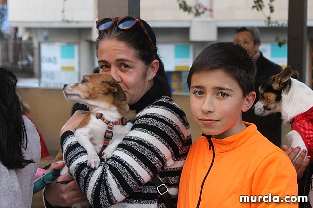 Bendicin de animales San Antn Totana 2020 - 261