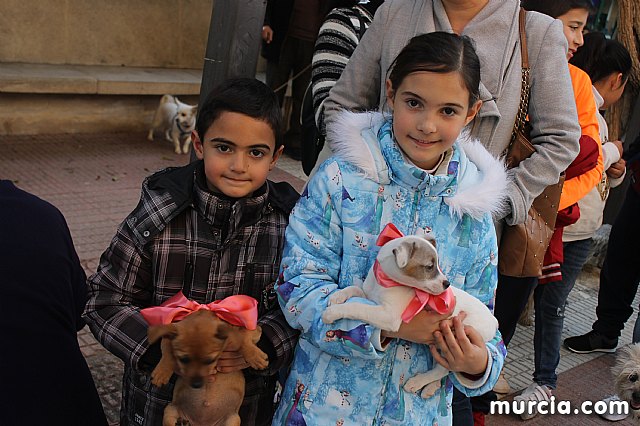 Bendicin de animales San Antn Totana 2020 - 262