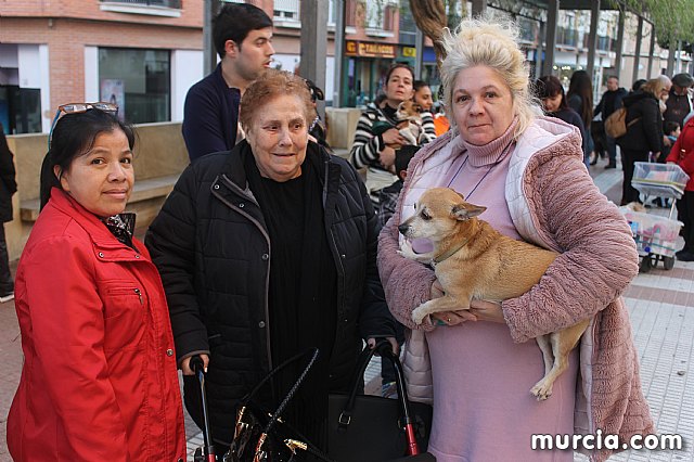 Bendicin de animales San Antn Totana 2020 - 263