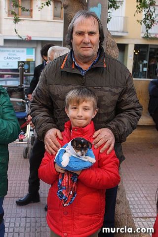 Bendicin de animales San Antn Totana 2020 - 264