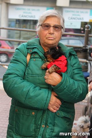 Bendicin de animales San Antn Totana 2020 - 265