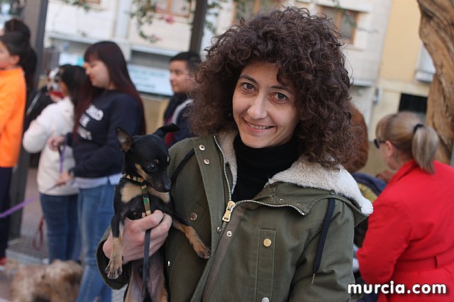 Bendicin de animales San Antn Totana 2020 - 266