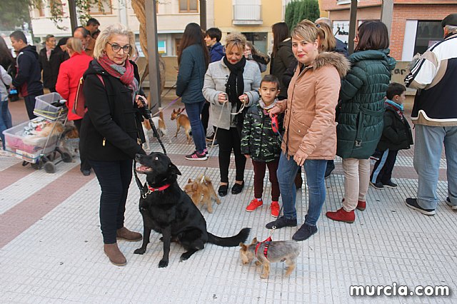 Bendicin de animales San Antn Totana 2020 - 267