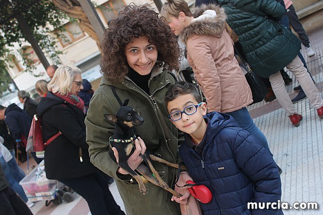 Bendicin de animales San Antn Totana 2020 - 268