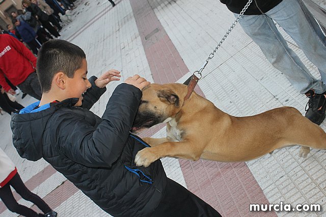 Bendicin de animales San Antn Totana 2020 - 270