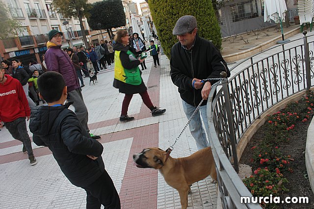 Bendicin de animales San Antn Totana 2020 - 271