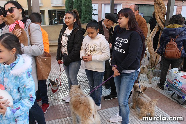 Bendicin de animales San Antn Totana 2020 - 276