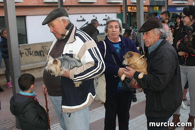 Bendicin de animales San Antn Totana 2020 - 278