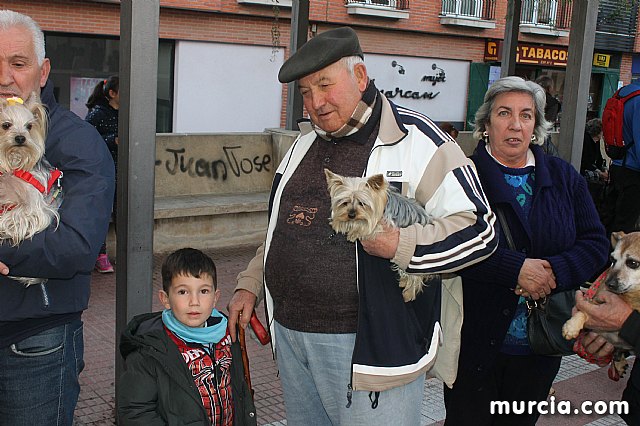 Bendicin de animales San Antn Totana 2020 - 280