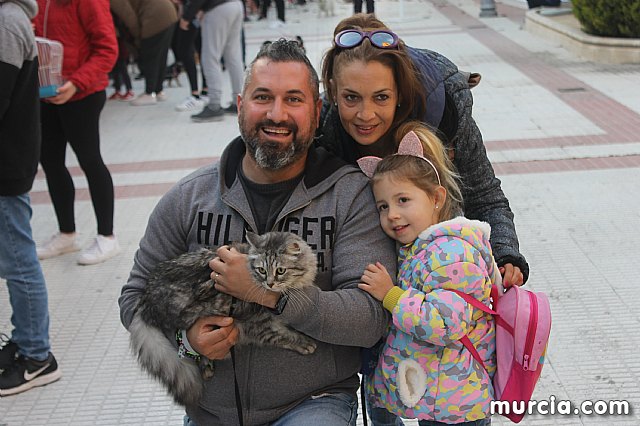 Bendicin de animales San Antn Totana 2020 - 282