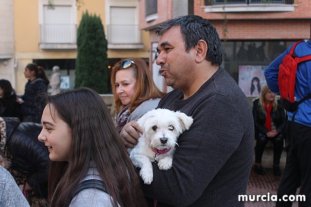 Bendicin de animales San Antn Totana 2020 - 283