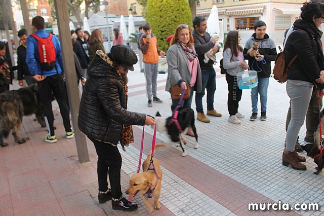 Bendicin de animales San Antn Totana 2020 - 285