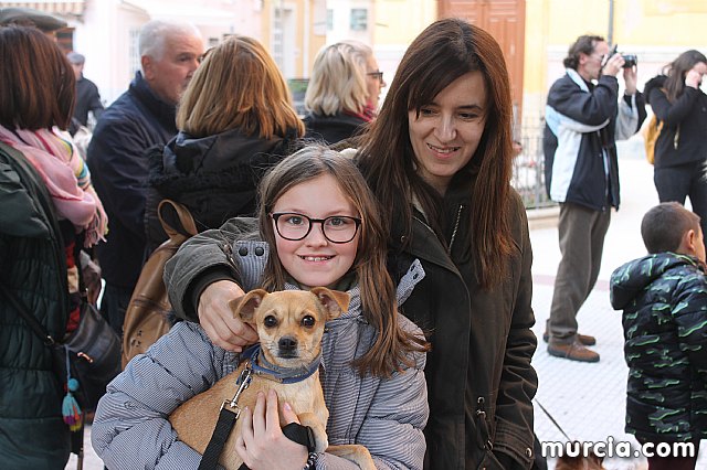 Bendicin de animales San Antn Totana 2020 - 288