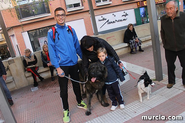 Bendicin de animales San Antn Totana 2020 - 294