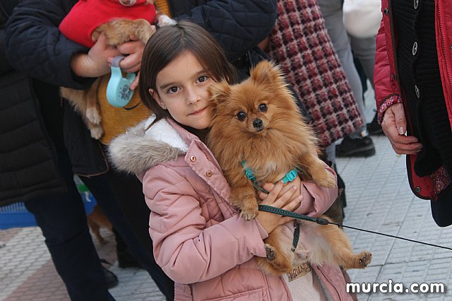 Bendicin de animales San Antn Totana 2020 - 297