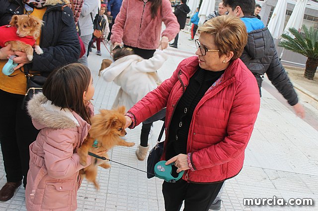 Bendicin de animales San Antn Totana 2020 - 299